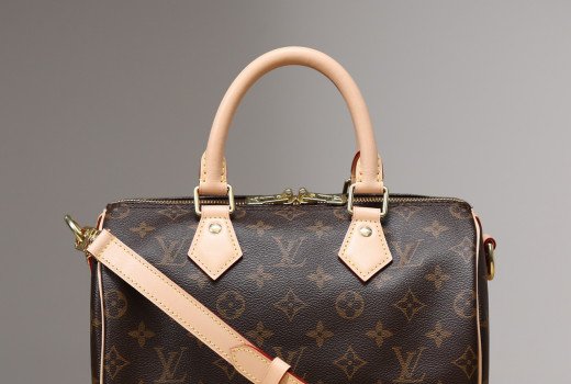 Speedy Bandoulière 25 M41113