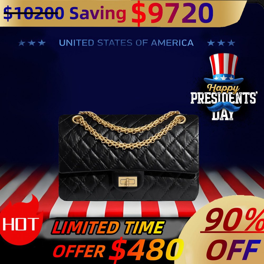 Chanel 2.55 Small Flap Bag