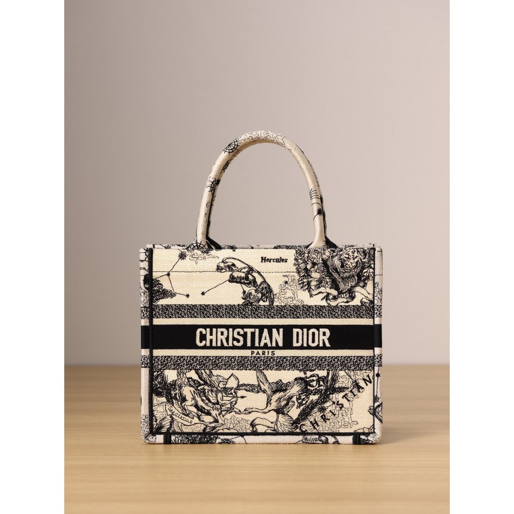 Small Dior Book Tote Small Dior Book Tote