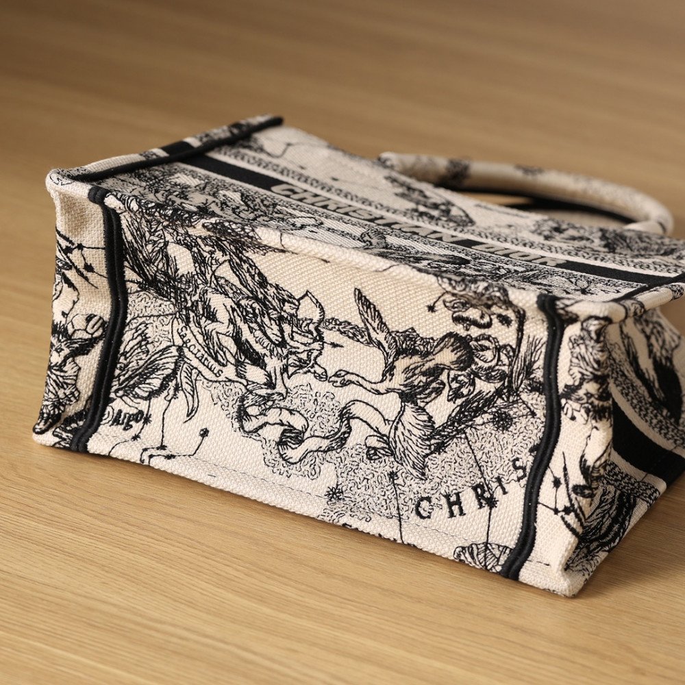 Small Dior Book Tote Small Dior Book Tote