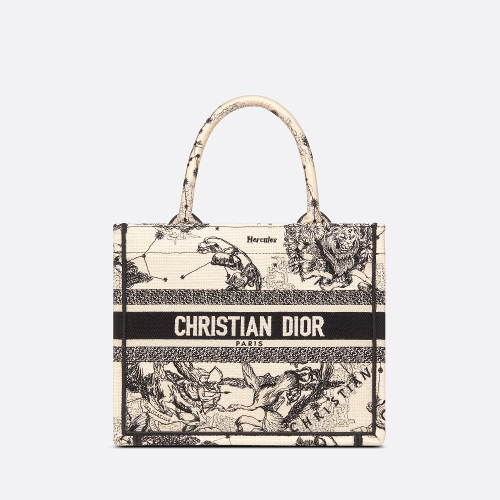 Small Dior Book Tote
