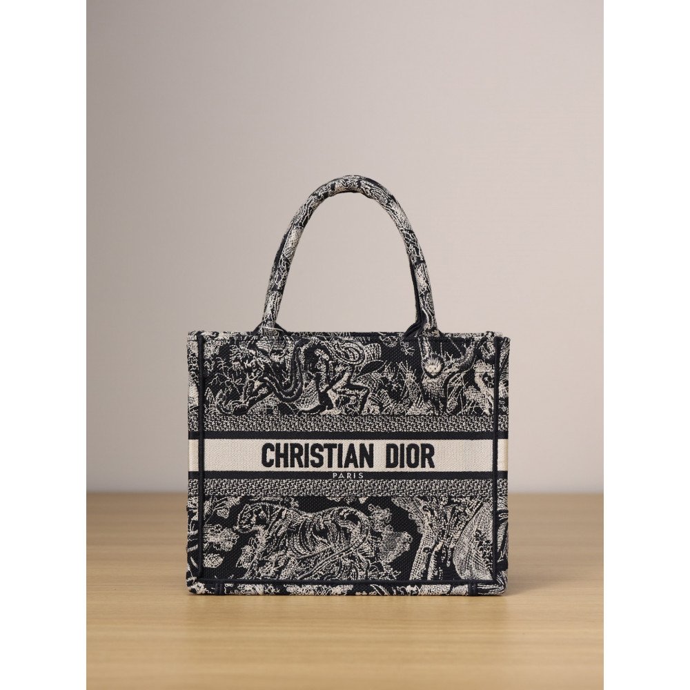 Small Dior Book Tote Small Dior Book Tote