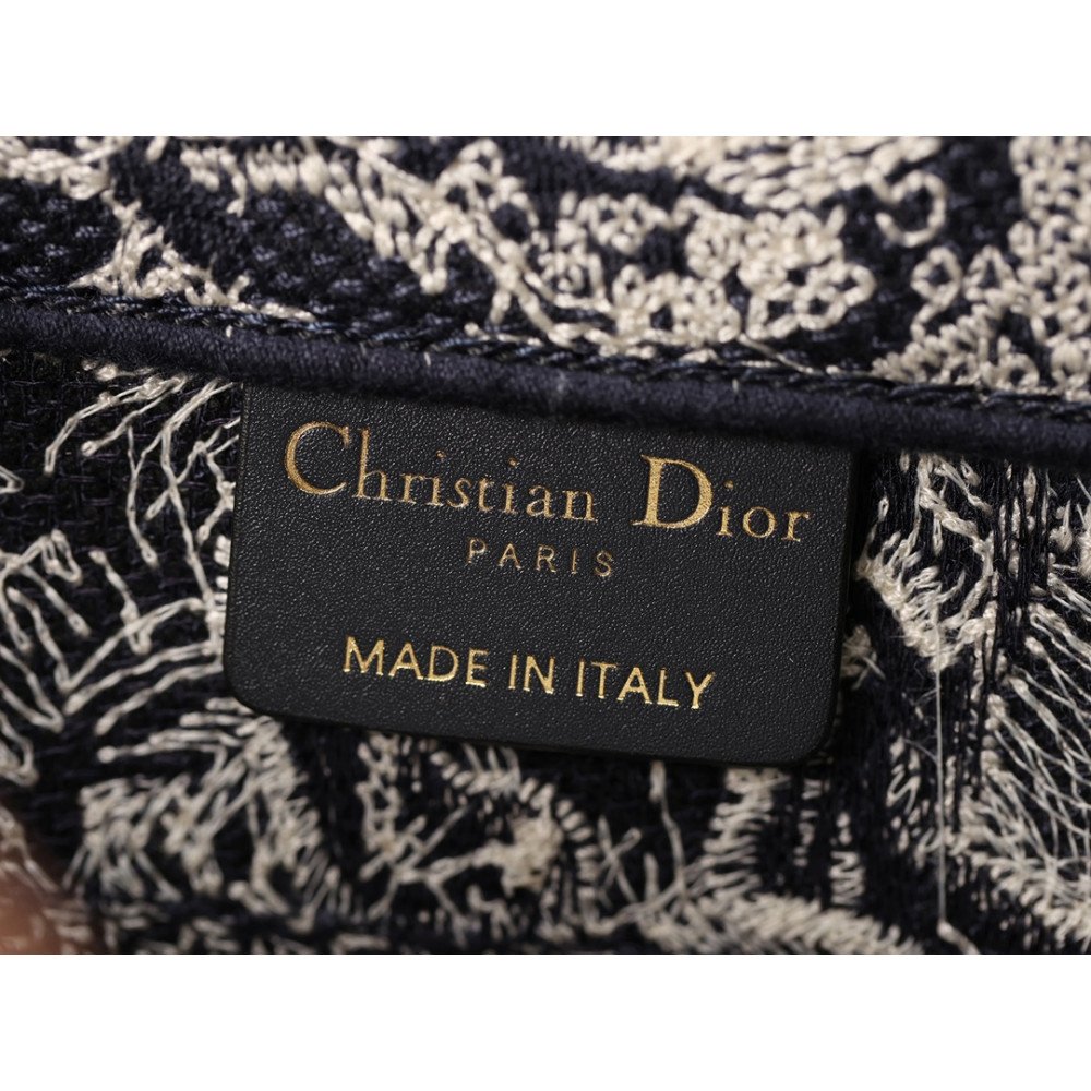 Small Dior Book Tote Small Dior Book Tote