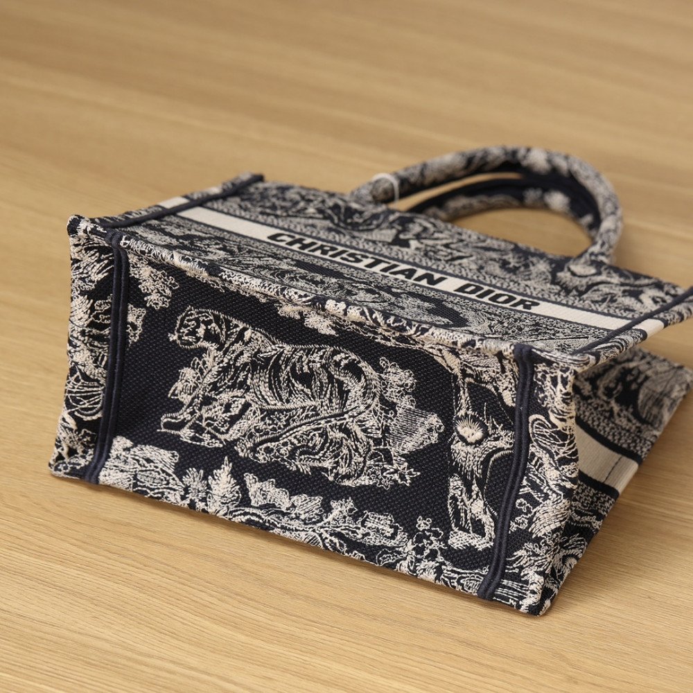 Small Dior Book Tote Small Dior Book Tote