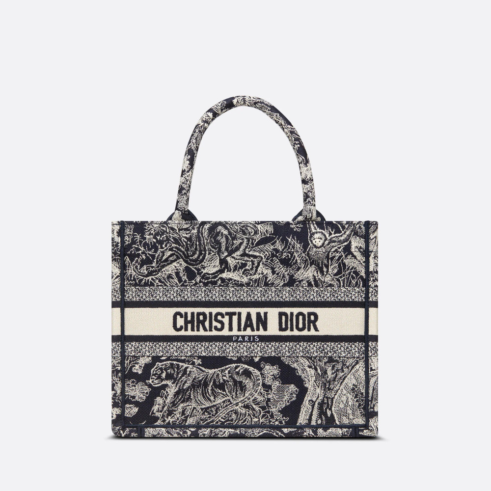 Small Dior Book Tote