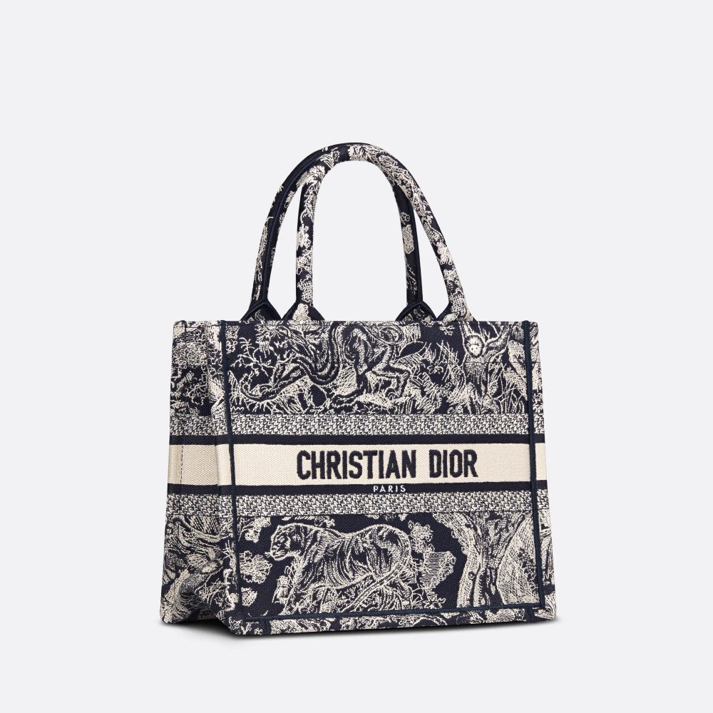 Small Dior Book Tote Small Dior Book Tote