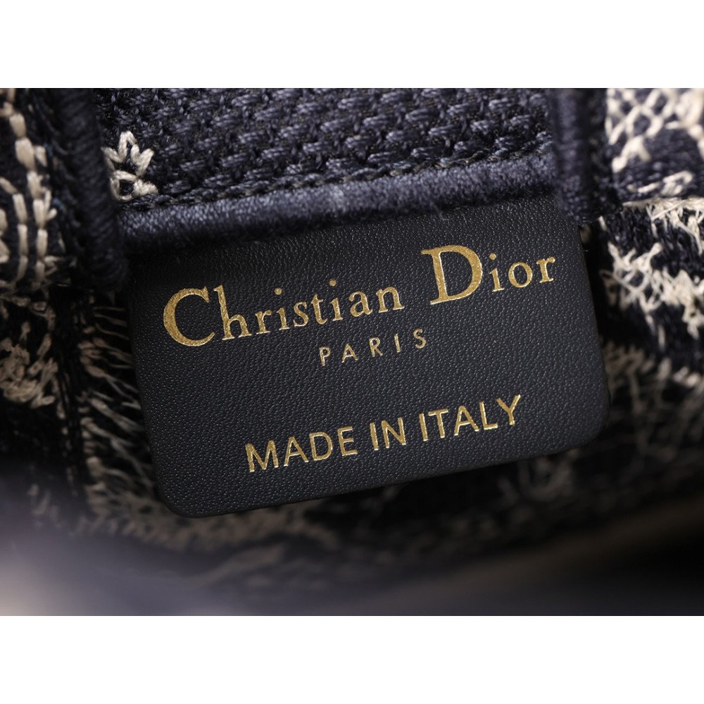 Mini Dior Book Tote Phone Bag