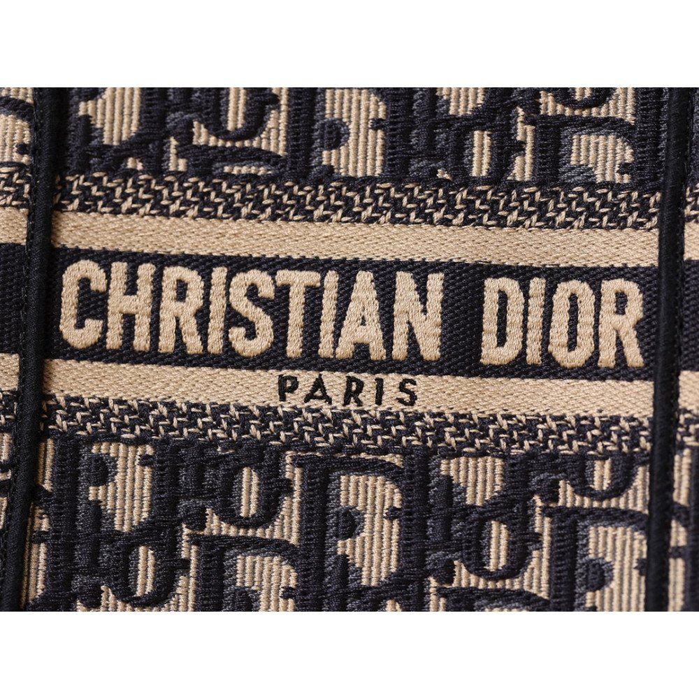 Mini Dior Book Tote Phone Bag