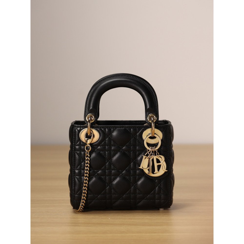 Mini Lady Dior Bag Mini Lady Dior Bag