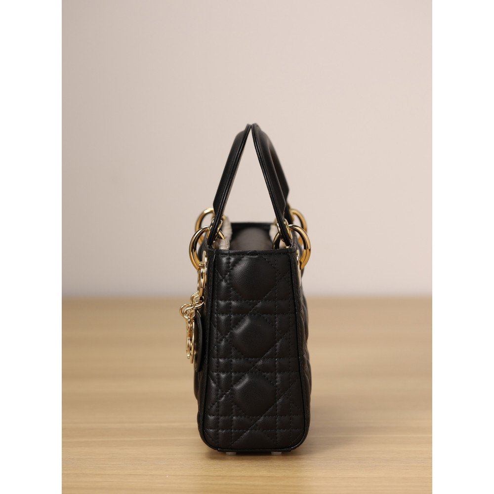 Mini Lady Dior Bag Mini Lady Dior Bag