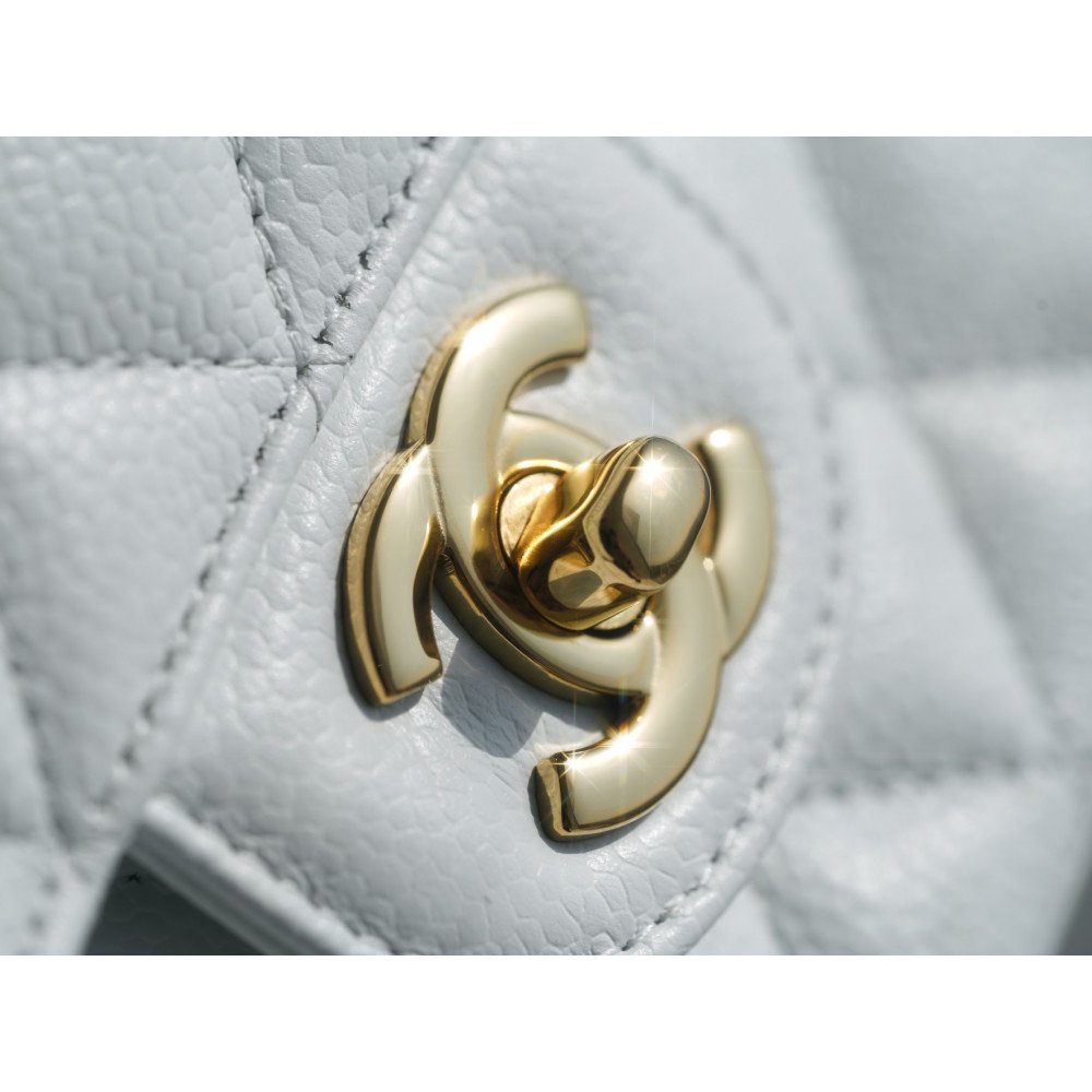 Chanel Medium Double Flap Bag