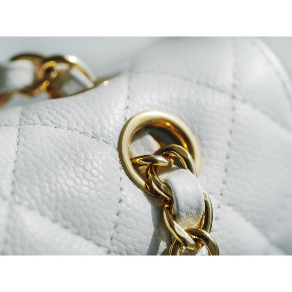 Chanel Medium Double Flap Bag