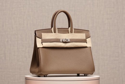 BIRKIN 25 ETOUPE TOGO H041344CK18 Details 3