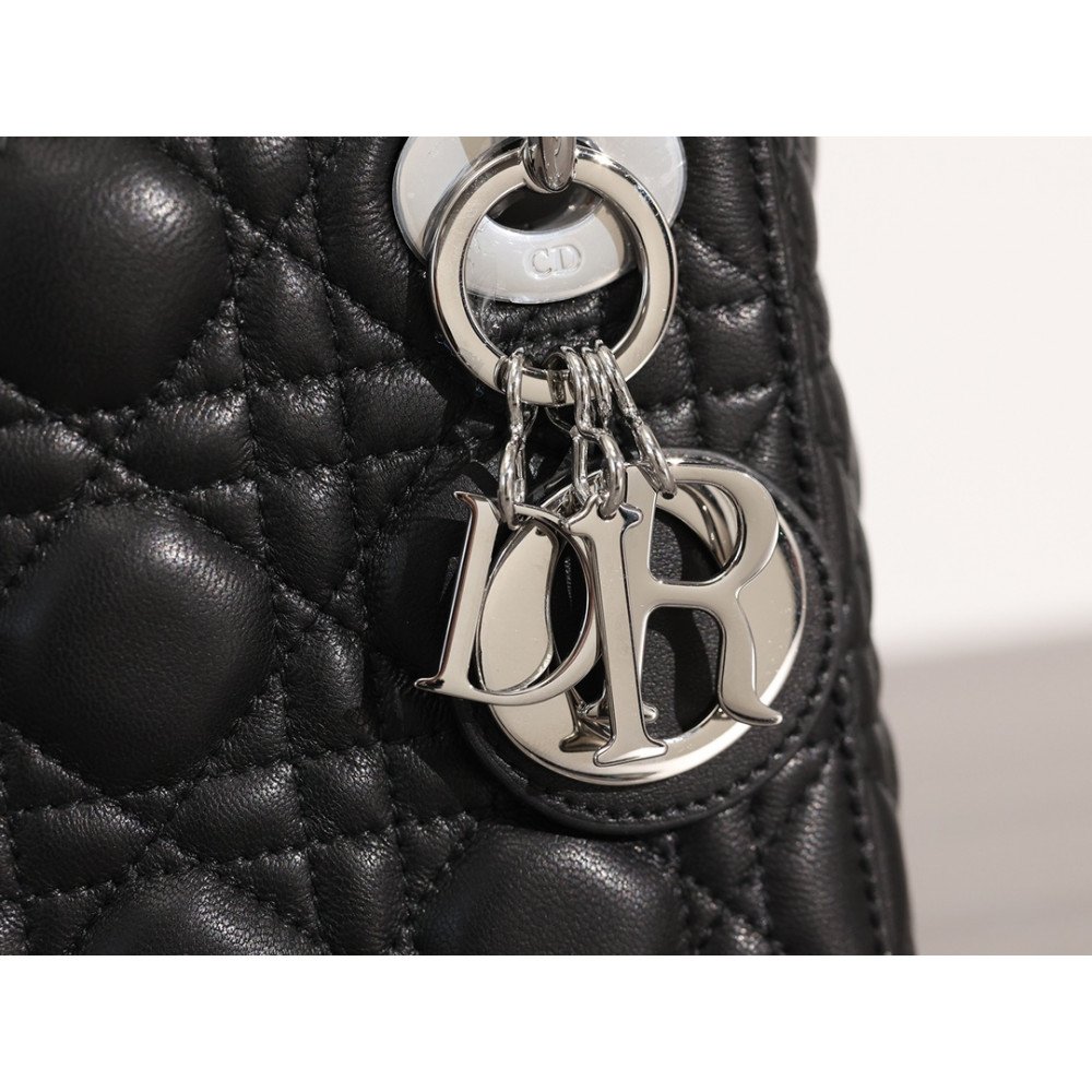 Mini Lady Dior Bag Mini Lady Dior Bag