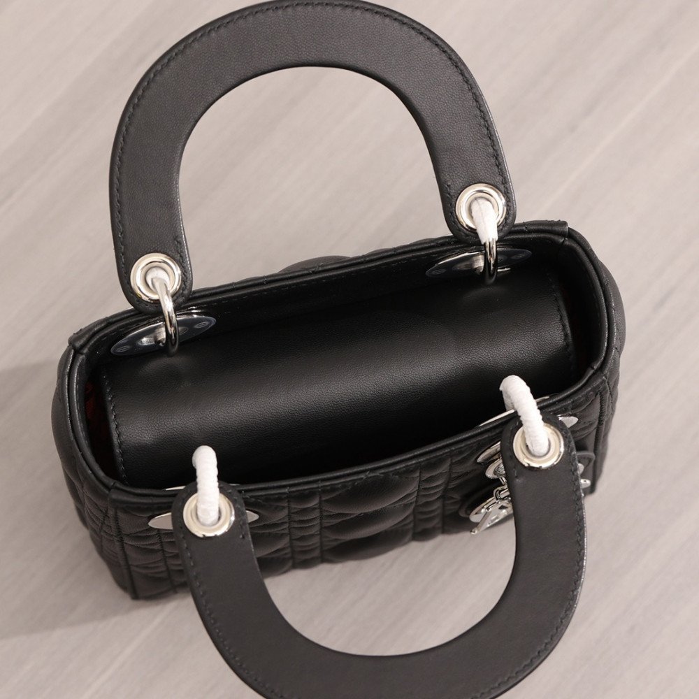 Mini Lady Dior Bag Mini Lady Dior Bag