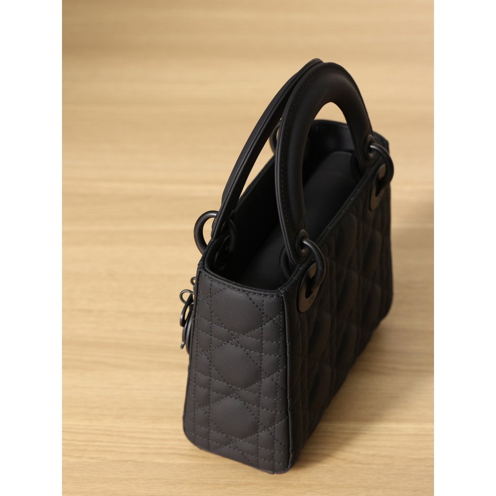 Mini Lady Dior Bag Mini Lady Dior Bag