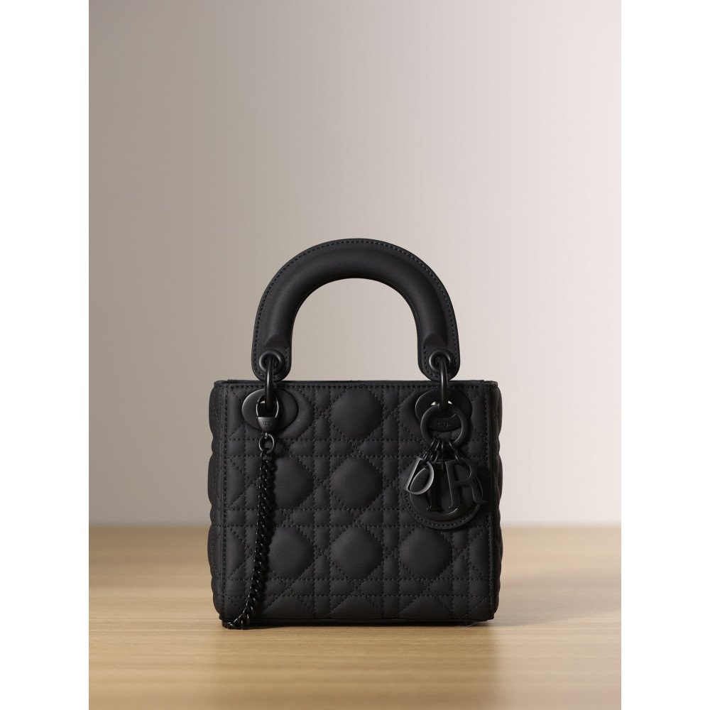 Mini Lady Dior Bag Mini Lady Dior Bag