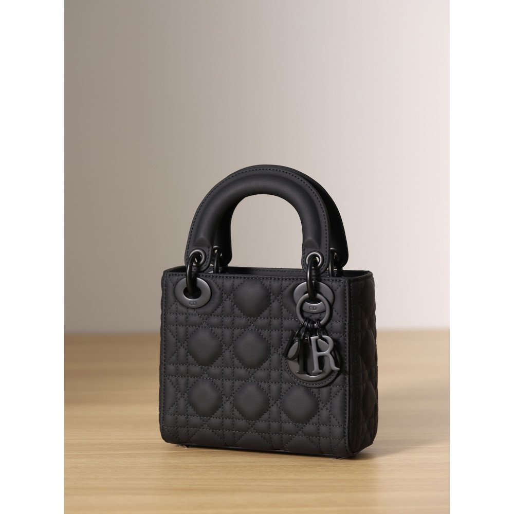 Mini Lady Dior Bag Mini Lady Dior Bag