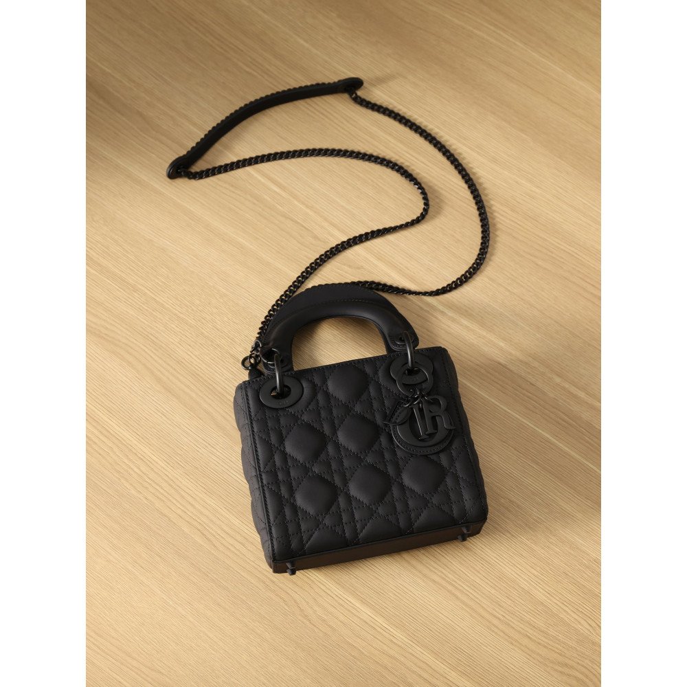Mini Lady Dior Bag Mini Lady Dior Bag