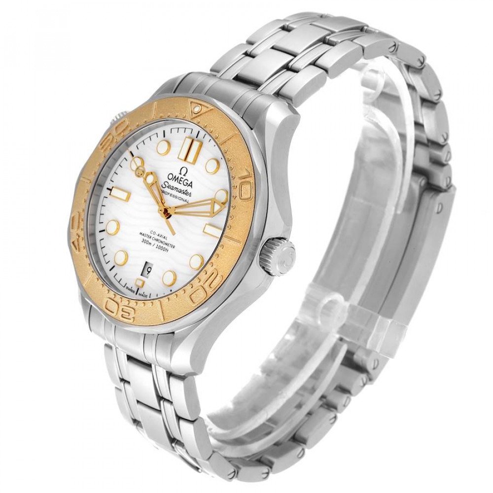 Omega Seamaster Planet Ocean 600M Steel on Steel Omega Seamaster Planet Ocean 600M Steel on Steel